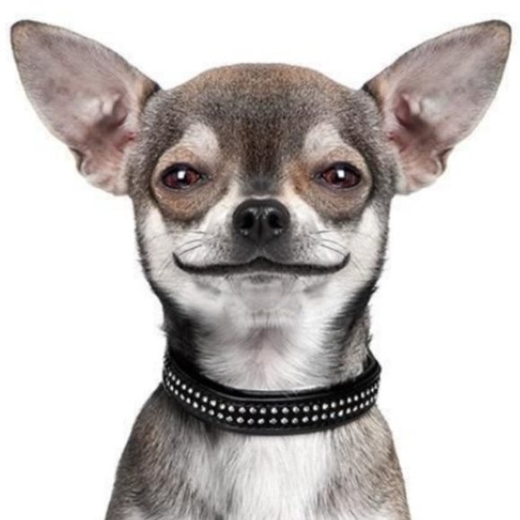 Meet your Posher, Jen - Picture 1 of 2